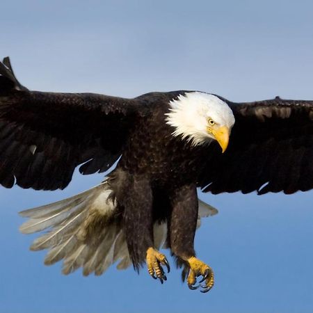 Eagles Land Lägenhet Edinburg Exteriör bild